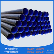 ���ַ���䓹܏S��273*6���������܃r����3PE�ȉT��TPEP�����ܵ�