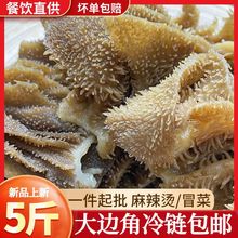 毛肚边角料大边角牛百叶新鲜水发毛肚千层肚自助牛杂火锅一件代发