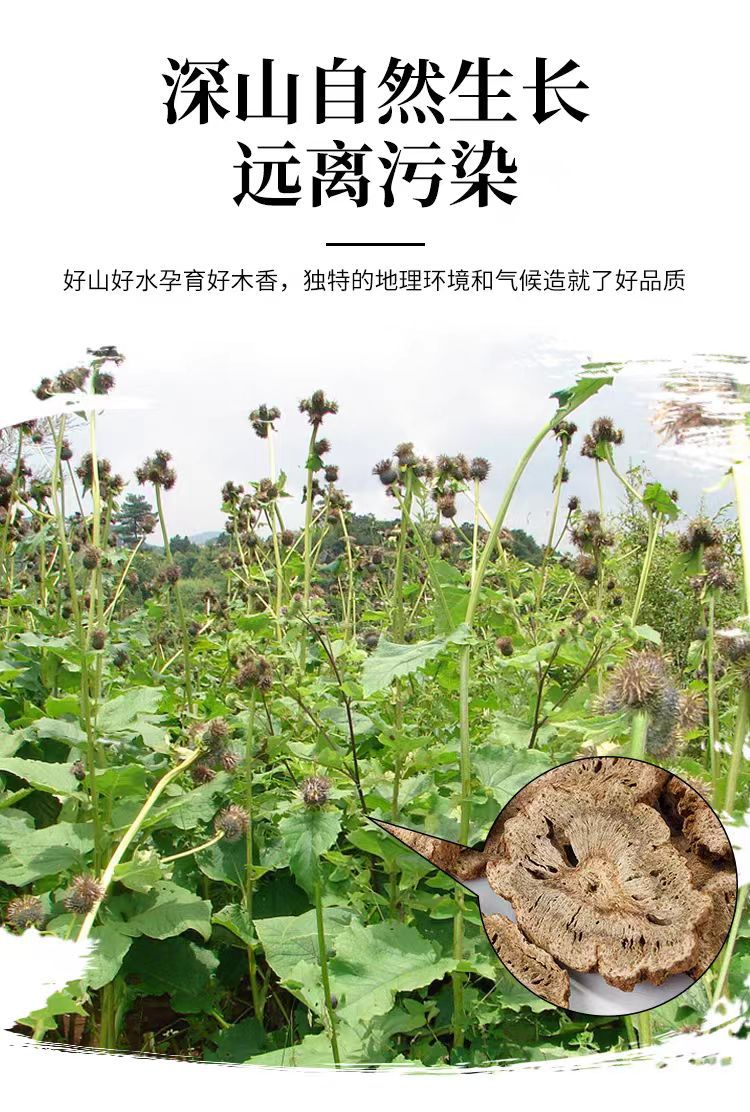 Mu Xiang (Aucklandia lappa) — Dried Costus Root for TCM Cooking & Spice Blends overview