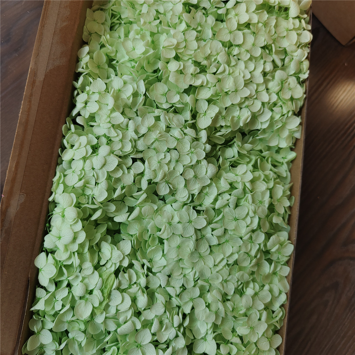 Flor eterna Hortensia Anna pequeña hoja flor seca flor real árbol de Navidad ventilador hecho a mano ramo DIY material paquete flor