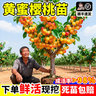 �S�ۙ������ϱ���ͥԺ����e�����ԷNֲ����Y���������Լ޽Ә���