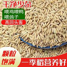 .��Ƀ�����ι�u���r�����r�Ҏ����Zʳ����ˮ���Z������u��