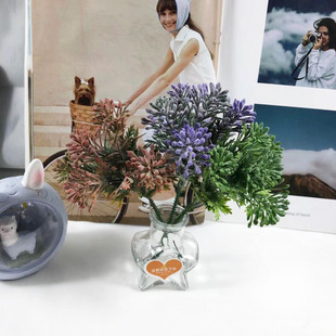 �羳���l��������ˮ�݆�֧5��ֲë�����ݻ�ƿ�[���b�Y�Ƶ�