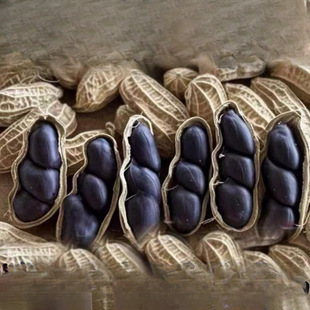 ��Ϻڻ���������Ƥ�����r���ԕ�����؛������Ƥ�����ڻ�������