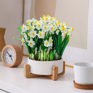 ����ˮ�ɻ����մɟo��ˮ������ľ��ľ�~�X��ˮ��Gֲ����С����