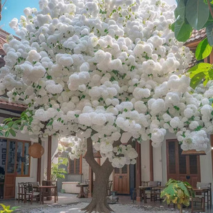 Good Live Saplings for All Seasons, Authentic and Cold-Resistant, Suitable for Courtyard, Balcony, Landscape Trees, Flowers, Tassel Villa, Potted Plants, and Long-Term Care