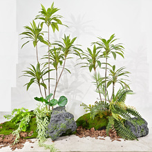 �̈����b�����ֲ���쾰�M���콶�t�F��G�F��پGֲ��ؾ��^ܛ�b