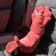 jellyca�߰汾1��1Ȥζ����ϵ������С̖���r�x���DƤƤ�rë�q