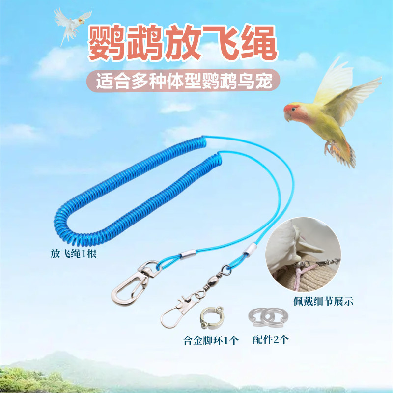 Parrot flying anti-bite walking bird rope big brother Crow Xuanfeng tiger skin peony training flying anklet anklet anklet