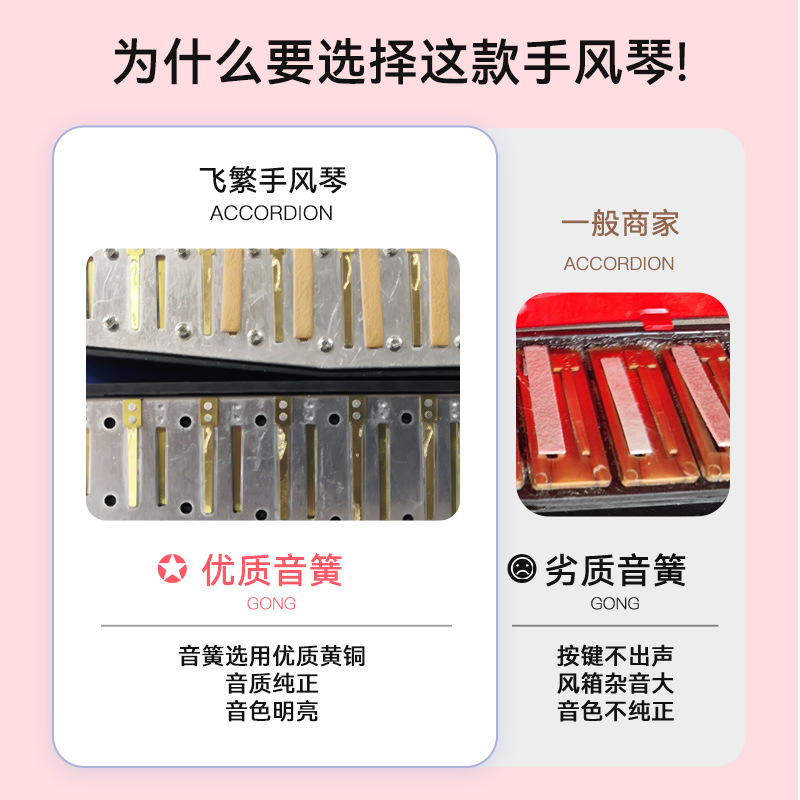 Acordeón FEIFAN de 17 teclas al por mayor para niños, instrumento educativo para principiantes, regalo de cumpleaños