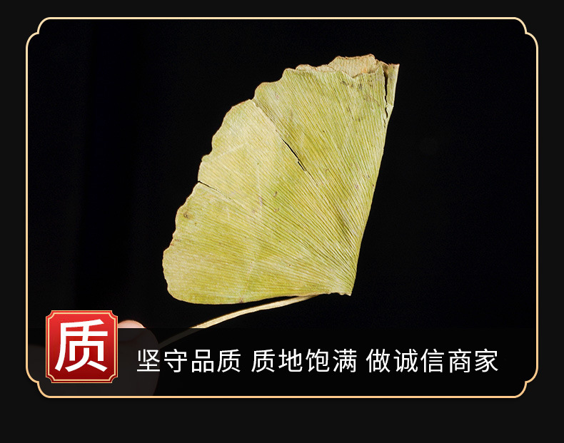 Ginkgo Leaf Powder (Ginkgo biloba) — Dried Food Herb, 500g quality and texture