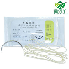 兽用可吸收缝合线 猪牛羊用免拆可吸收羊肠线 动物手术张合针线