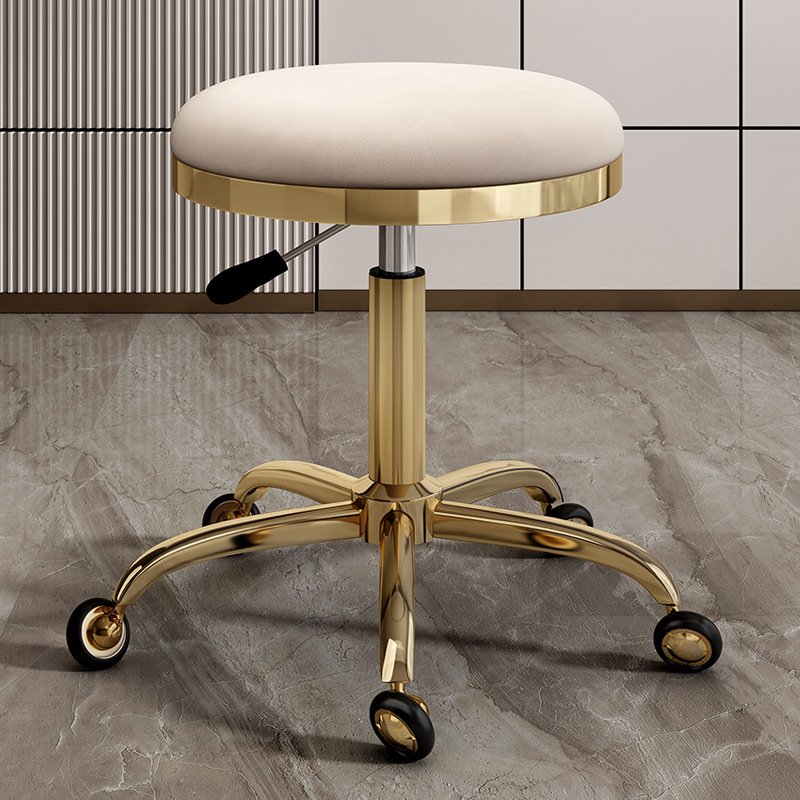 silla de dentista de estética elevadora polea de manicura silla giratoria silla de computadora silla de laboratorio maestro taburete