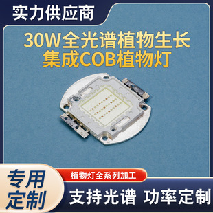30W Full Spectrum Plant Growth Integrated Cob Plant Lamp Fish Tank Lamp Single Color Lighting Led Plant Lamp Bead Customization