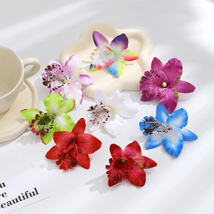C ���� ̩���m��  ���^ �ҾӔzӰ��c�bȼ����Ռ������