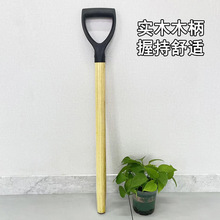 ���������@�ь�ľ�r��ľ���ֱ��F�P�}����@�ш@�ֹ��߱���ľ��ľ