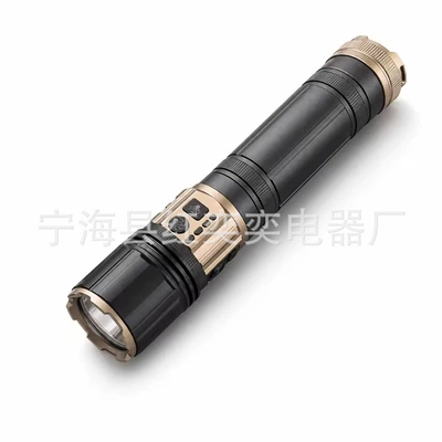 Outdoor flashlight with Type-C charging, outdoor laser four-light source, daily carry, home use, long battery life, emergency light (UV fənərlər) - dual-color-flashlight-bare-light-data-cable