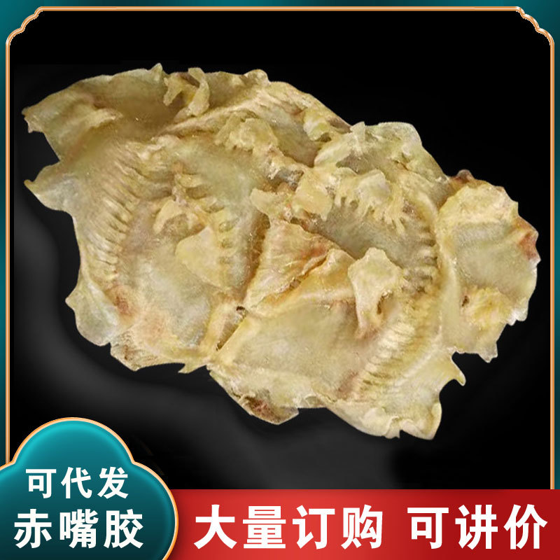 大量供应赤鱼胶石斑赤嘴开边成鱼胶鱼肚黄花胶干貨开边赤鱼胶批发