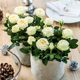 Rose Seeds Are Easy to Grow in All Seasons, Live Fresh Flower Seedlings, Balcony Indoor Potted Flower Seeds, Wholesale Red Roses