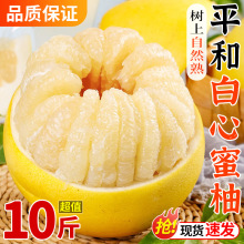 ƽͰ10ﮔrˮFժѬgϪ]