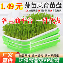 育苗盘一件起批豆芽发芽神器水培蔬菜育苗盆豌豆苗种植托芽苗菜盆