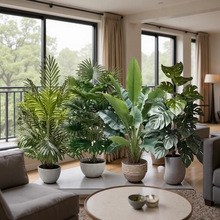 ����Gֲ�߶��p��ɢβ���҃ȴ���������Կ͏d�b[�������ֲ��