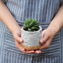 创意设计多肉小花盆水泥家居好物办公室粗陶绿植盆栽迷你陶盆小号