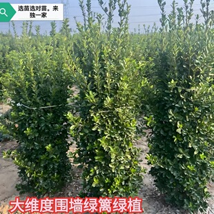 �������������~�S����繤�̾G���������ļ������m�ûh�ʇ���ͥԺ