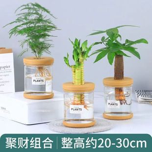 �d�ӻ�����ˮ��Gֲ�����辰�Gֲ�����tС�����k��������С�Gֲ