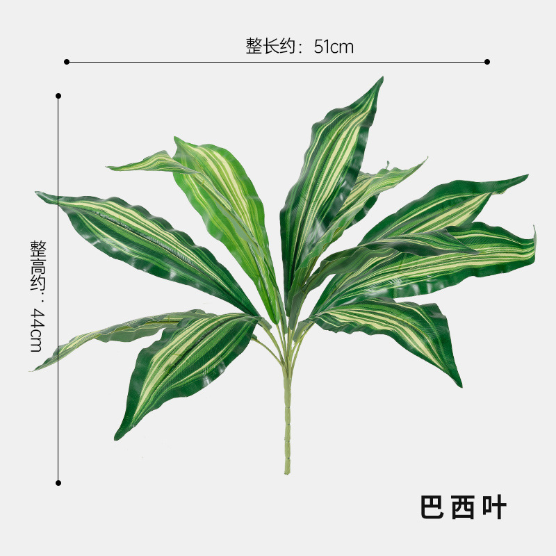 브라질 잎