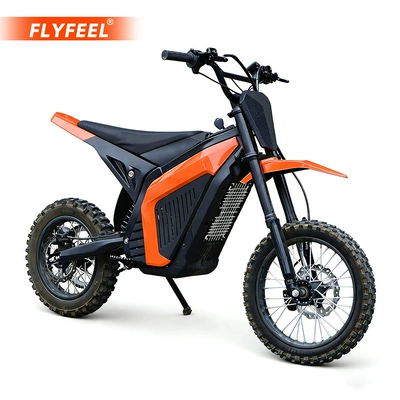 Electric Dirt Bikes, Elektrikli motosikletlər