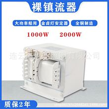 新しい季節 集魚灯 1KＷ 安定器 その他 - chimicroinsure.com