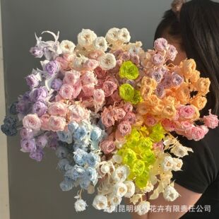 �羳������ins�������^õ�廨�����|�۸߼���520���˹����նY��