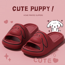 ������ЬŮʿ2026�¿��ļ��҃ȼҾ�ϴ��ܛ���o����ʺ�Л���Ů�⴩