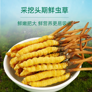 2026���^���˹���ֲ�Bֳ�S�۾����SM�ߺ��θ�ˢ���B���r�x��