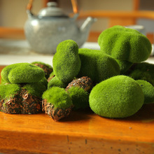 ����̦�\�Kֲ�qëʯ�^��̦�[���A��΢���^�����쾰�bGֲƤ