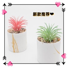 亚马逊跨境热销仿真多肉植物盆栽金纹白底陶瓷杯办公室桌面假多肉