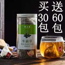 野生车前草泡茶降酸茶三角包袋泡茶新鲜车前草新货干货中药车前草