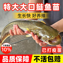 �Ϸ�����T�~����ˮ��ˮ�Bֳʳ�û��w���T���T�~����T���X�T�~��