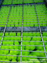 ��ëˢ�^�V�����^�V��ëˢ�V���\���~���^�Vëˢ��ɫ��ˮʮ��ˢ