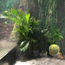 仿真植物散尾葵室内客厅绿植龟背竹盆栽装饰工程景观植物组合装饰