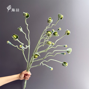 �羳��Ʒ�|ֲë���ڹ������˷��滨 �����������Ĕz���߼Ҿ��b��