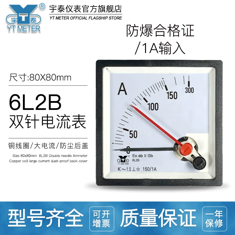 6L2B Двойная игла Взрывозащищенный 100/1A200/1A 300/1A переменного тока измеря-exeii указатели красная игла cp80
