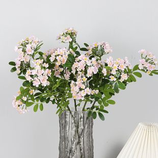 ��@���滨������ �����~����Ц�����ǻ������ǧ���� �Ҿ��b�