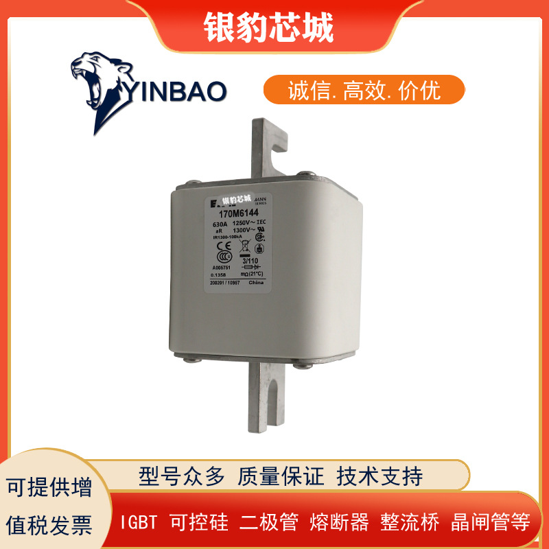 170M6138 170M6139 170M6140 170M6141 170M6142全新熔断器保险丝