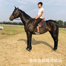 ���۰������R С���R �����R �ɹ��Rƥ�Bֳ �T���R�Bֳ���g