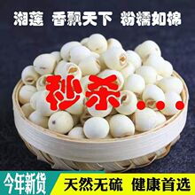 ɏ�� ��؛   �o��Ұ��ɏ�����rĥƤȥ�İ�ɏ�Ӱٺϸ��y��ɏ��