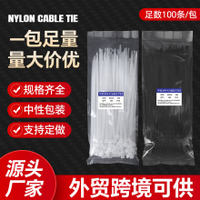 ��������100�l�羳��������С�����lnylon cableties�羳��������