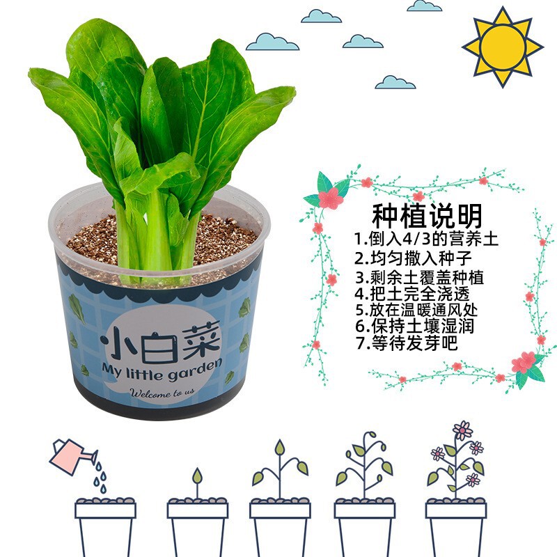 科学実験セット機器子供教育技術少量生産物理学発明DIY手作り材料小学生向け|undefined
