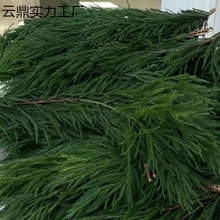 ���r������Ů��Ȼ�ɰ��}�Q�b����ļ��}�Q������}�Q�ٗl